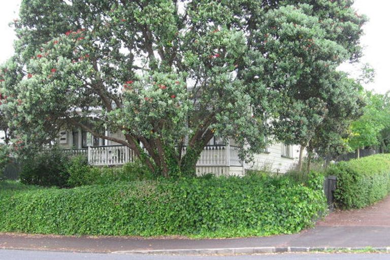Photo of property in 11 Murdoch Road, Grey Lynn, Auckland, 1021