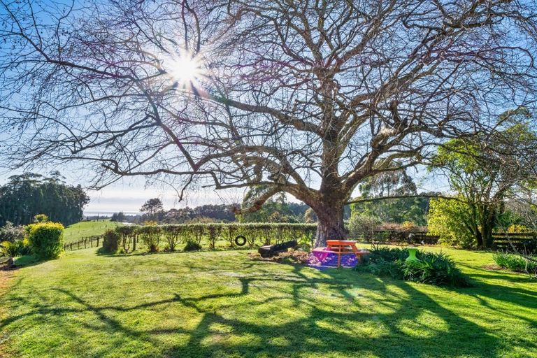 Photo of property in 162 Ross Road, Whakamarama, Tauranga, 3179