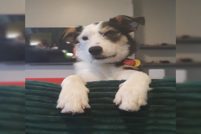 Photo of property in 201 Gladstone Road, Dalmore, Dunedin, 9010