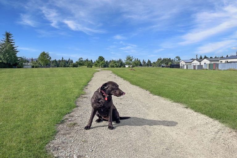Photo of property in 84 Tekapo Drive, Twizel, 7901