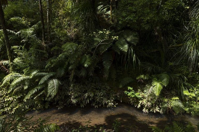 Photo of property in 42b Dutton Road, Peria, Kaitaia, 0482