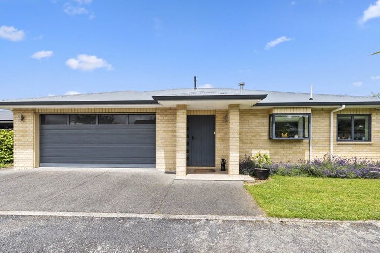 Photo of property in 144a Winchester Street, Levin, 5510