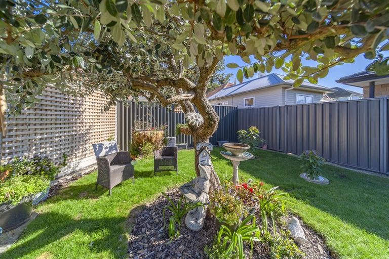 Photo of property in 24a Nuffield Avenue, Marewa, Napier, 4110