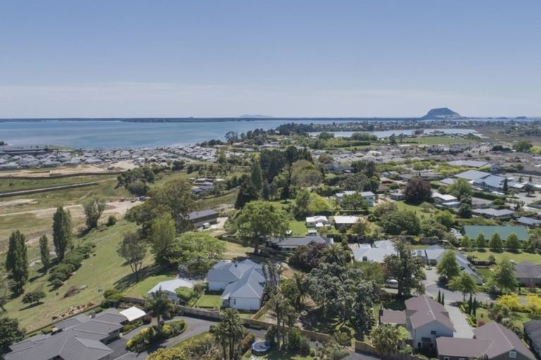 Photo of property in 41 Black Barn Lane, Bethlehem, Tauranga, 3110