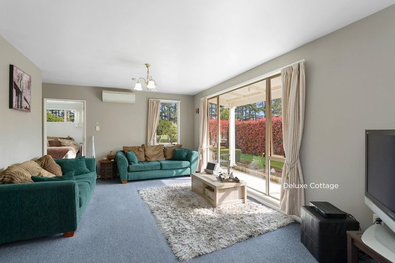 Photo of property in 206 Langdales Road, West Melton, Christchurch, 7676