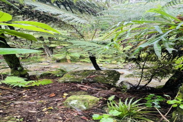 Photo of property in 275 Lillis Lane, Coromandel, 3506