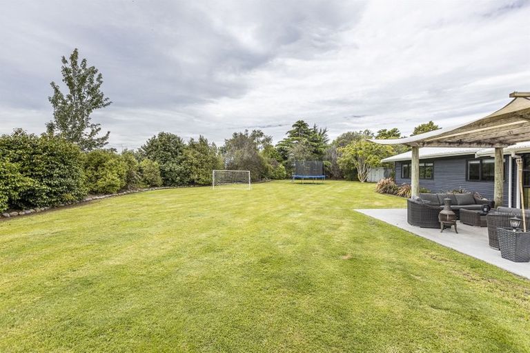 Photo of property in 81 Almadale Road, Cheltenham, Feilding, 4777