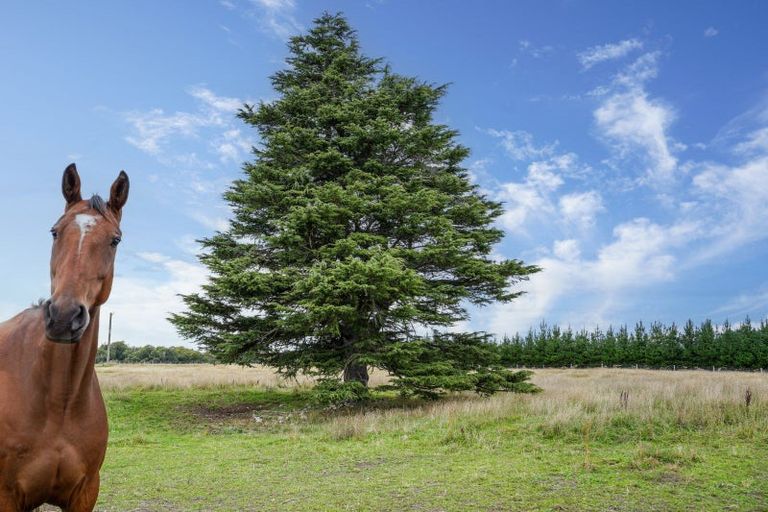 Photo of property in 149 Riverside Road, Okuku, Rangiora, 7473