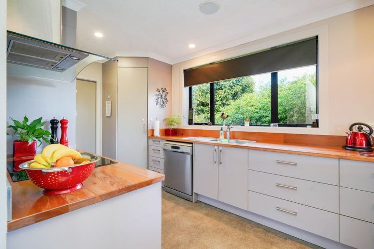 Photo of property in 430 Racecourse Road, Hargest, Invercargill, 9810