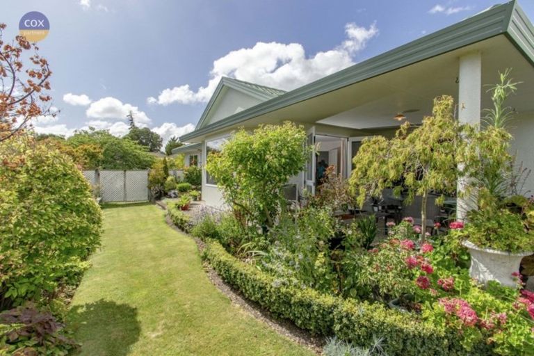 Photo of property in 21 Palmbrook Avenue, Havelock North, 4130