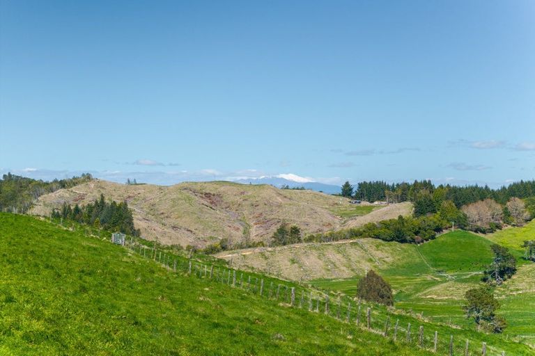 Photo of property in 111 Otake Road, Marotiri, Taupo, 3377