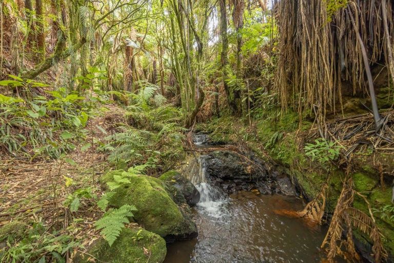 Photo of property in 88 Scott Road, Puketotara, Te Awamutu, 3876