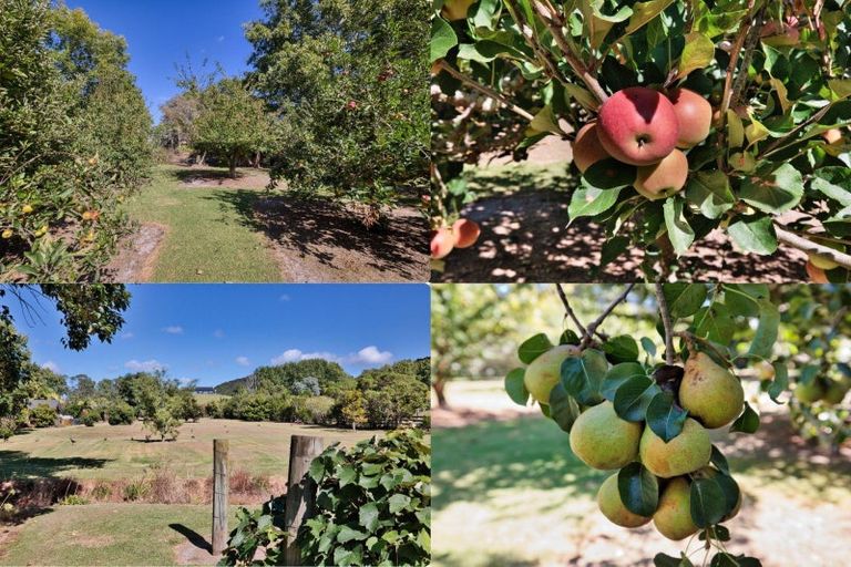 Photo of property in 316 King Road, Mangawhai, Kaiwaka, 0573