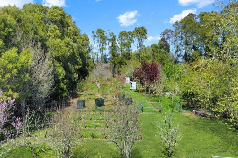 Photo of property in 97f Poplar Lane, Edgecumbe, Whakatane, 3192