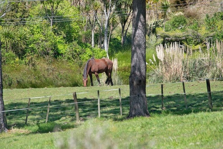 Photo of property in 19 Rauta Way, Helensville, 0800