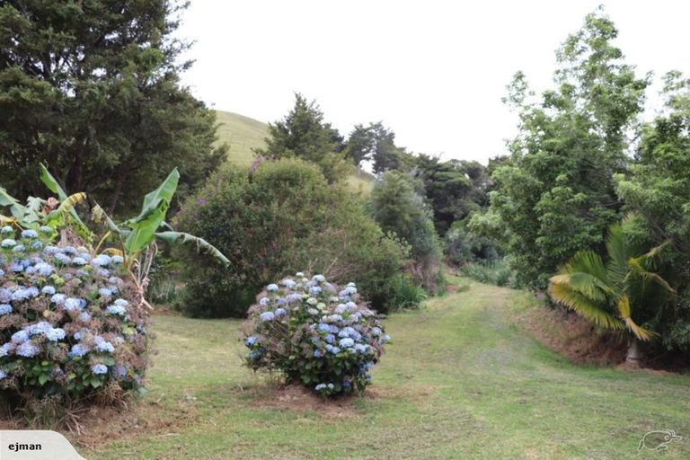 Photo of property in 356 Hailes Road, Whananaki, Hikurangi, 0181
