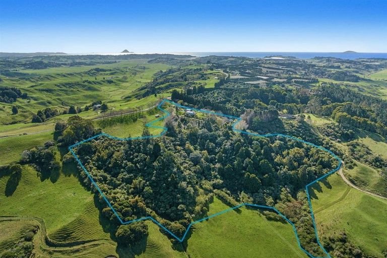 Photo of property in 681 Paerata Ridge Road, Waiotahe, Opotiki, 3198
