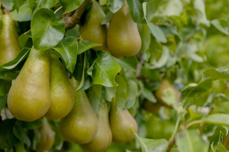 Photo of property in 3 Korepo Road, Ruby Bay, Upper Moutere, 7173