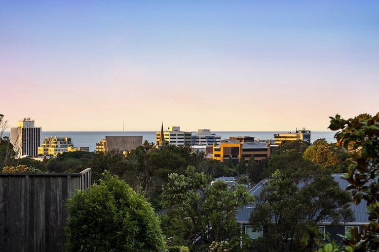 Photo of property in 84b Carrington Street, Lower Vogeltown, New Plymouth, 4310