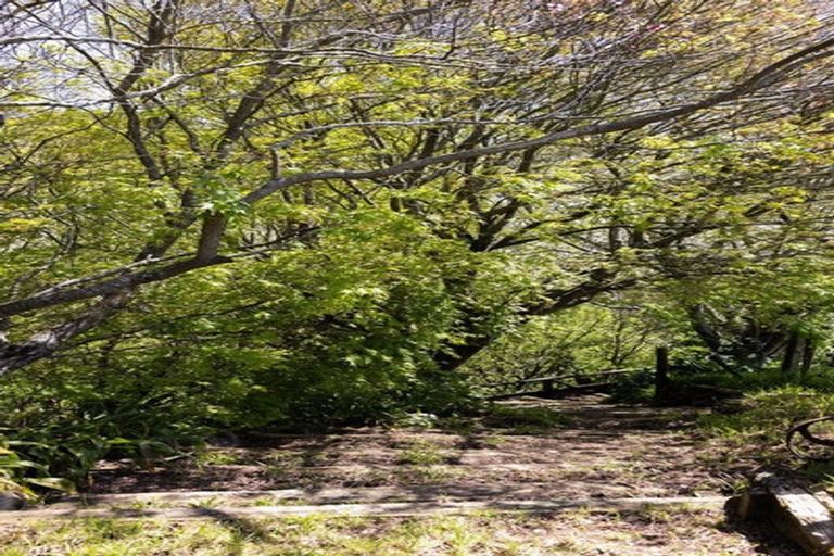 Photo of property in 1/180 Oreipunga Road, Maungatautari, Cambridge, 3494