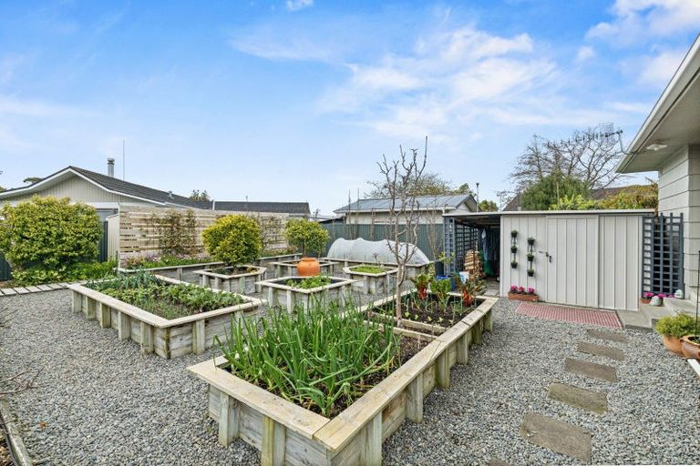 Photo of property in 117 Pukepapa Road, Marton, 4710