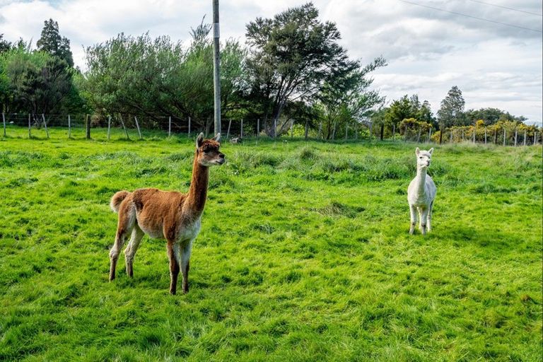 Photo of property in 104 Bucks Road, Tauwharenikau, Featherston, 5773