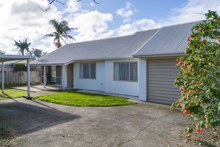 Photo of property in 11b Gray Street, Katikati, 3129