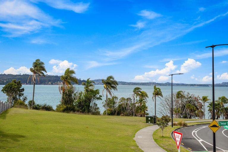 Photo of property in 49 Treloar Crescent, Hobsonville, Auckland, 0616