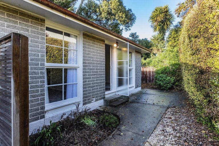 Photo of property in 12 Alexandra Street, Richmond, Christchurch, 8013