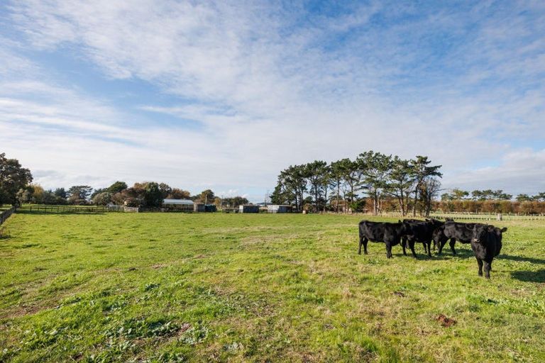 Photo of property in 112 Avenue Road, Foxton, 4891