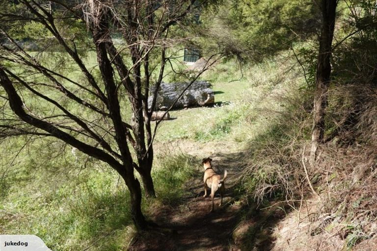 Photo of property in 146a Murphy Road, Awakeri, Whakatane, 3192