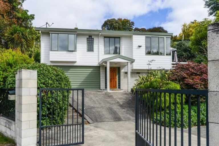Photo of property in 2b Toop Street, Havelock North, 4130