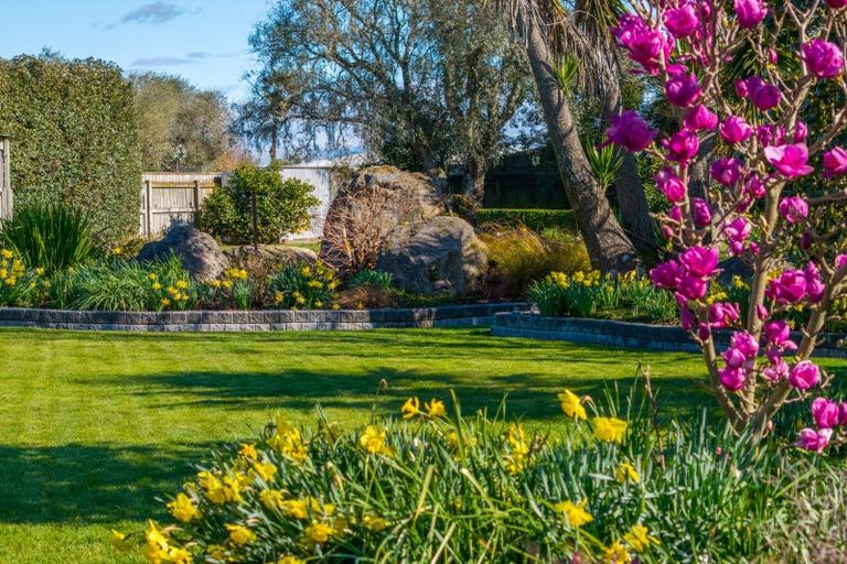 Photo of property in 14 Collins Road, Richmond, 7020