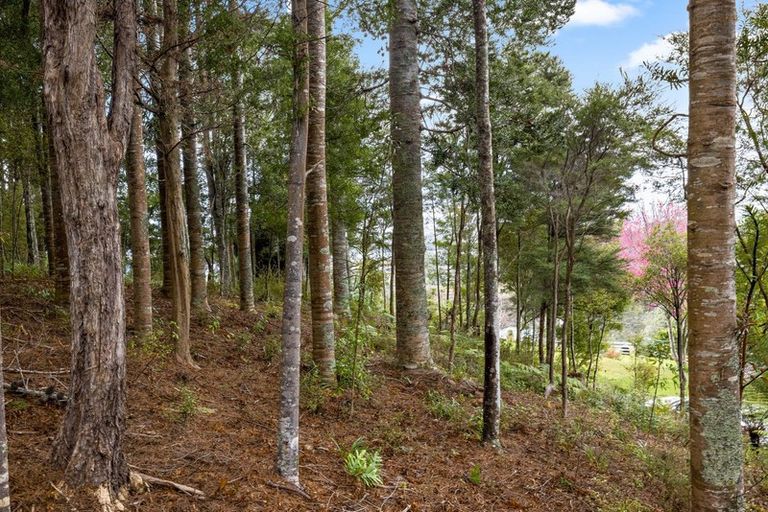 Photo of property in 773 Leigh Road, Whangateau, Warkworth, 0985