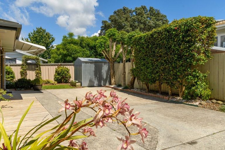 Photo of property in 256 Waihi Road, Judea, Tauranga, 3110