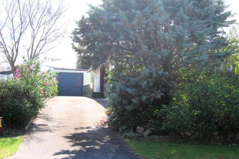 Photo of property in 119 Weka Street, Whangamata, 3620