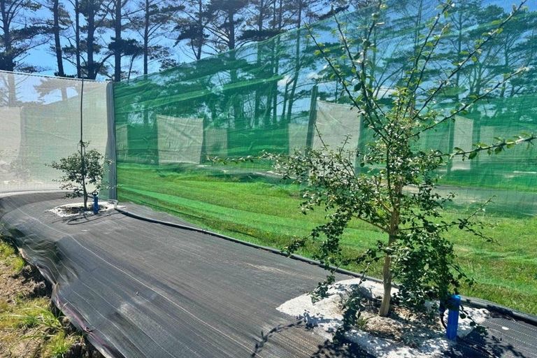 Photo of property in 83 Mcmanus Road, Houhora, Kaitaia, 0484