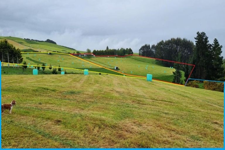 Photo of property in 447 Waddle Road, Waikana, Gore, 9772