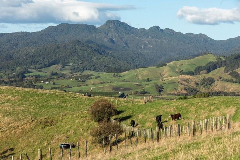 Photo of property in 246b Maratoto Road, Hikutaia, 3674