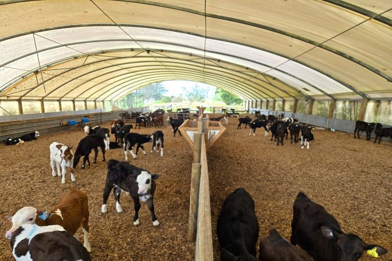 Photo of property in 153 Marohemo Road, Maungaturoto, 0587