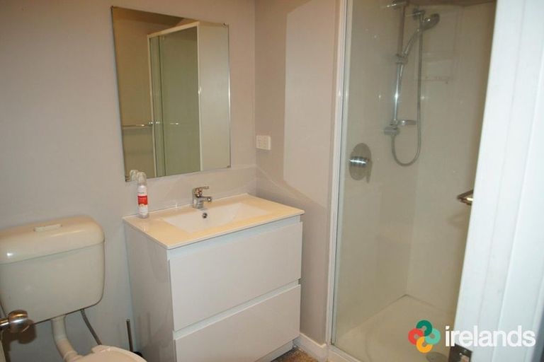 Photo of property in 60 Martin Avenue, Beckenham, Christchurch, 8023