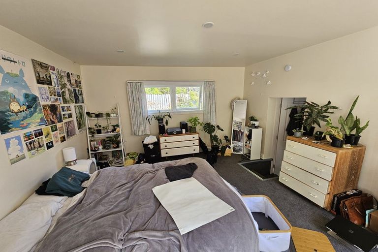 Photo of property in 34 Devon Street, Aro Valley, Wellington, 6021