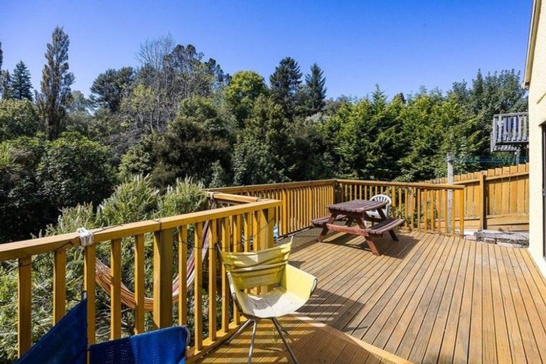 Photo of property in 57 Opoho Road, North East Valley, Dunedin, 9010