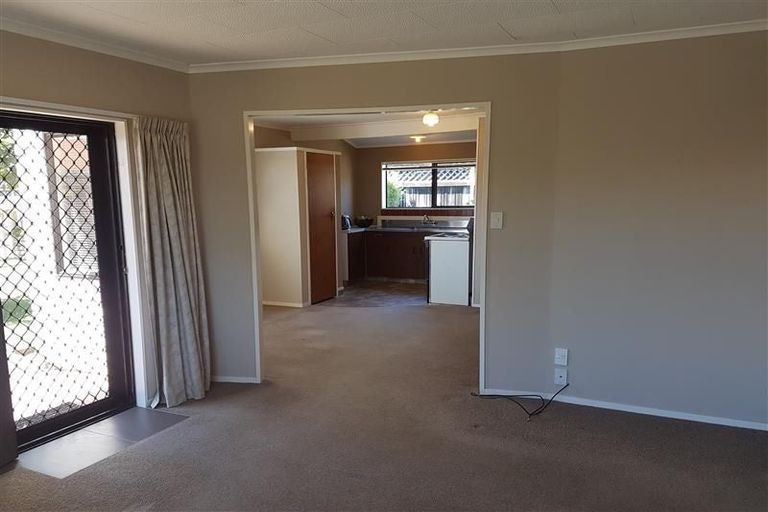 Photo of property in 3/12 Buchanan Street, Matamata, 3400
