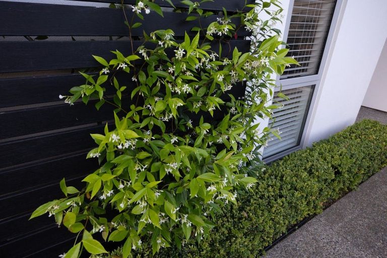 Photo of property in 115a Te Awe Awe Street, Hokowhitu, Palmerston North, 4410