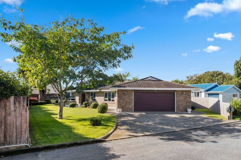 Photo of property in 6 Winslow Place, Levin, 5510