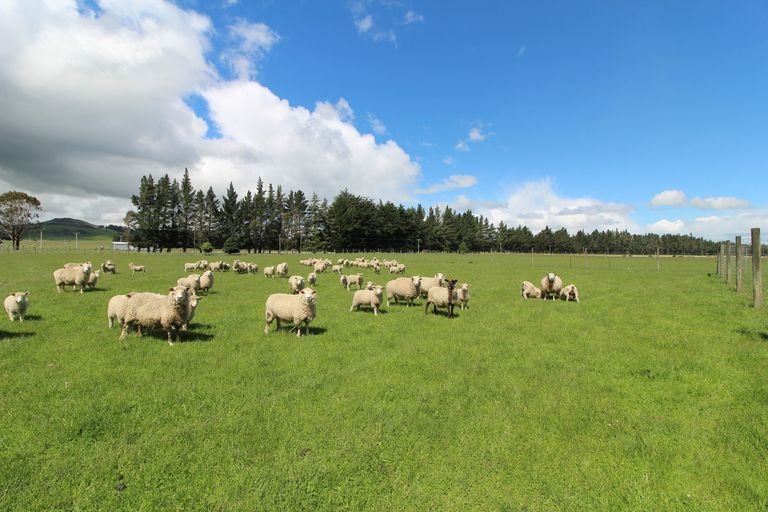 Photo of property in 5 Lanark Street, Lumsden, 9794