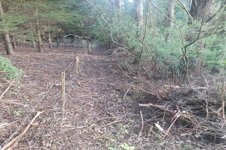 Photo of property in 44 Waikana Street, Broad Bay, Dunedin, 9014