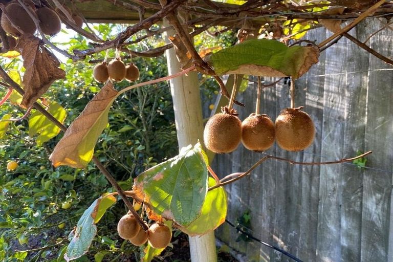 Photo of property in 413 Cashmere Road, Westmorland, Christchurch, 8025