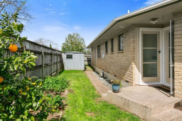 Photo of property in 3 Alfred Back Place, Cambridge, 3434